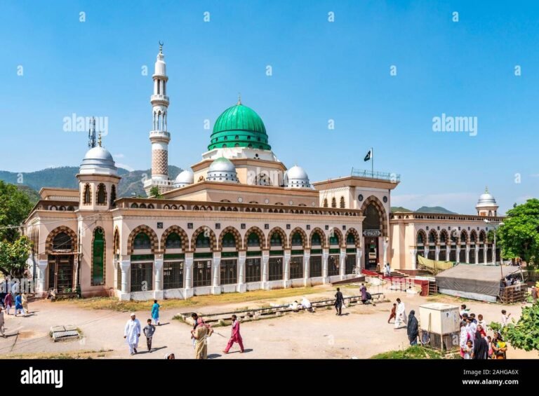 Bari Imam Sarkar