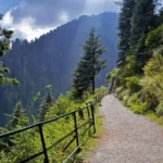 Pipeline track dunga gali near by mushkpuri top