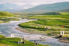 Deosai National Park Guide: Wildlife, Flora & Best Time to Visit